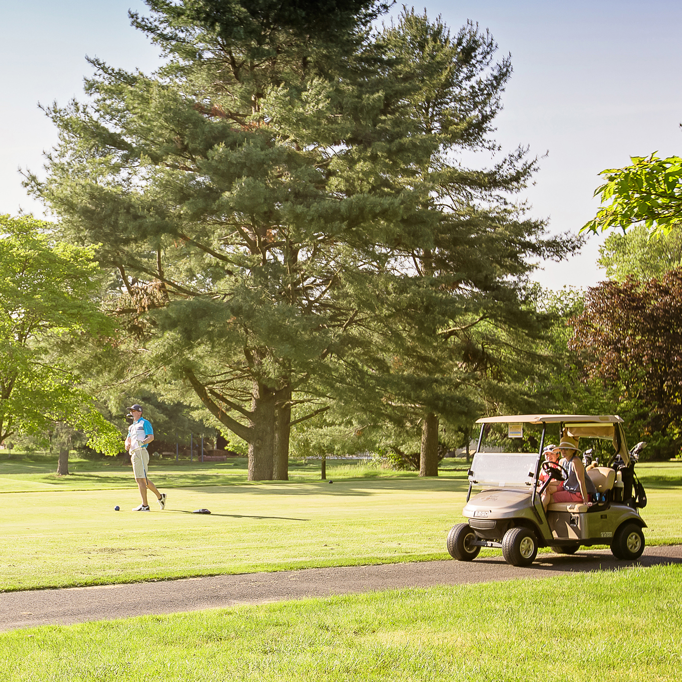 Hitting the Links