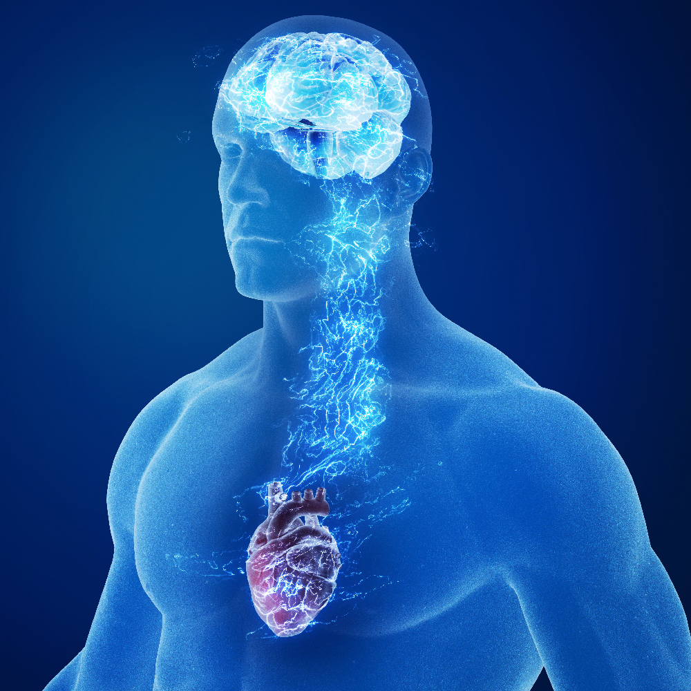 A Matter of the Heart— and Brain - SouthJerseyMagazine.com