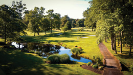 An Elevated Experience