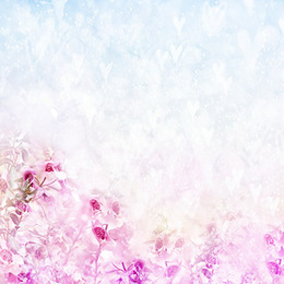 Special Occasions Directory