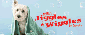 Millie'sJiggles&Wiggles_300x125_Feb2025